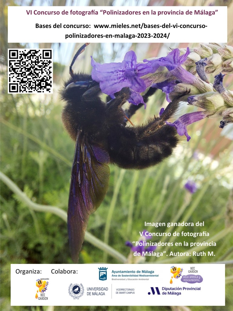 Cartel Concurso de fotografía de polinizadores Formación apícola y agroecológica